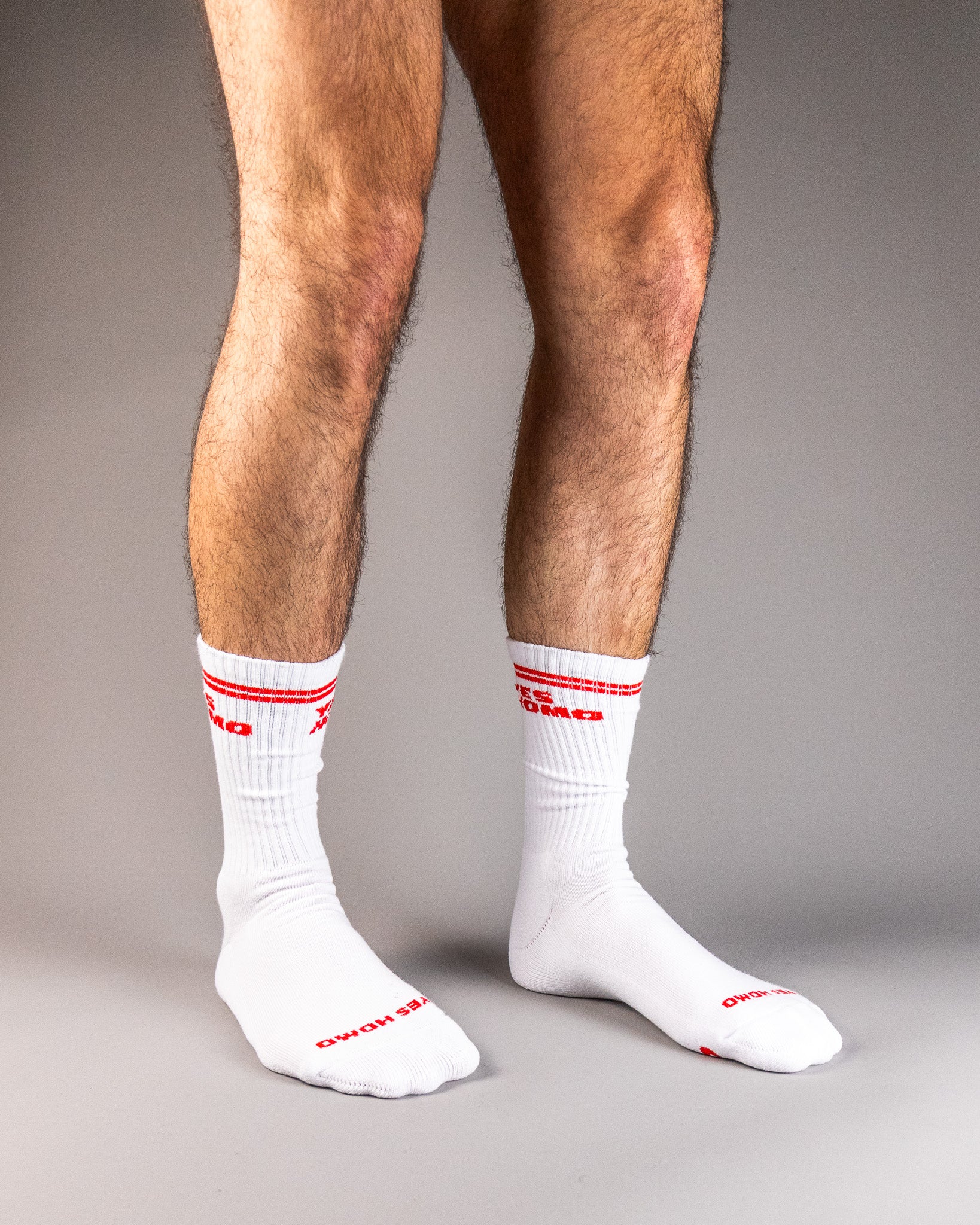 Yes Homo Socks