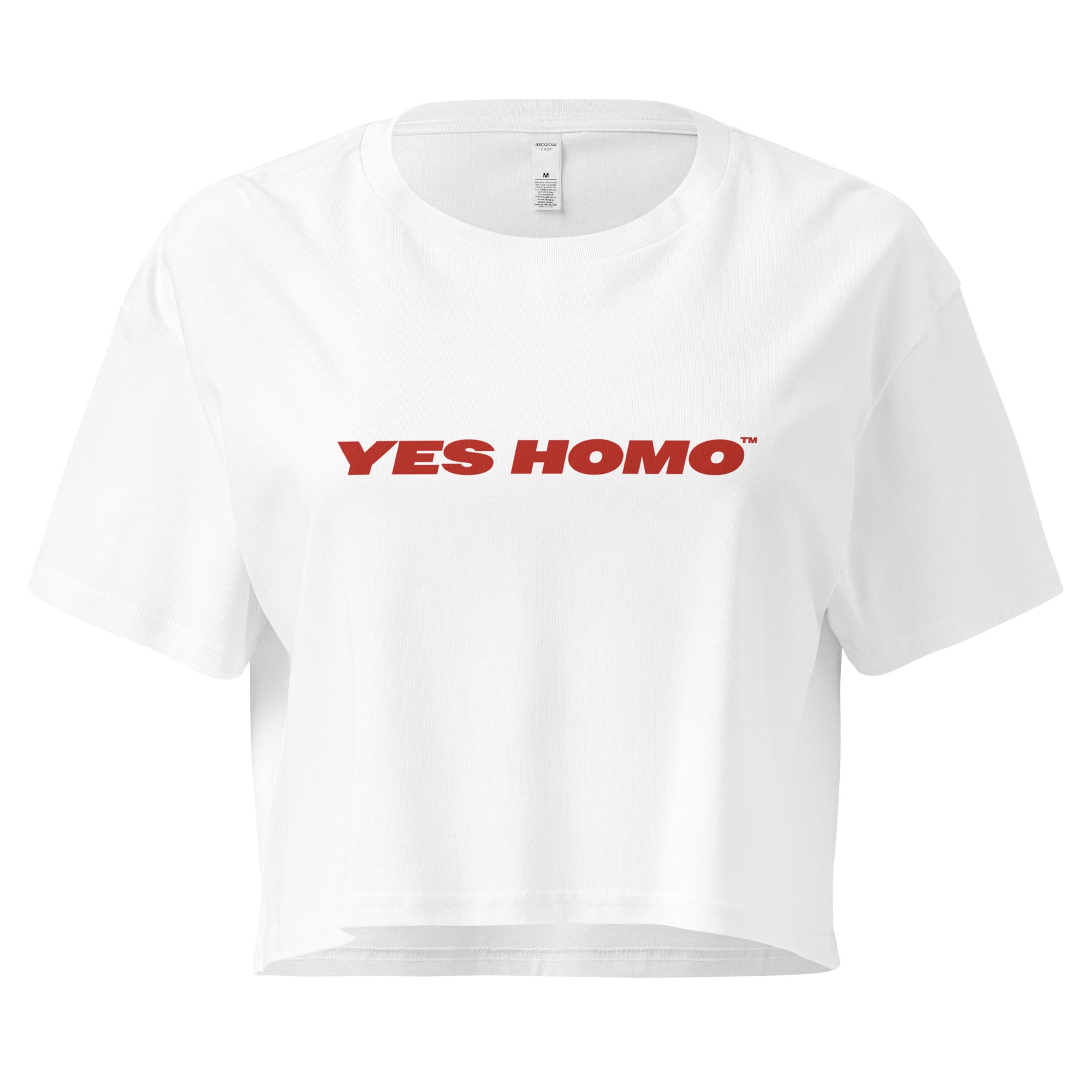 Yes Homo Front - Poppers, Music, Hot Boys, Makeouts, 6am Ubers Crop Top (Women's Cut - Size Up 2x)