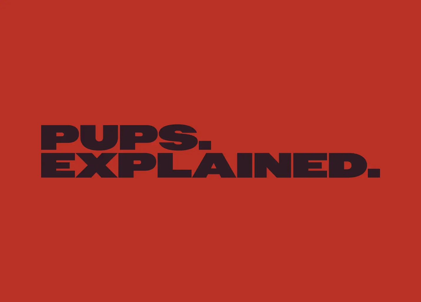 Who let the pups out: a field guide to queer kink's softest subculture